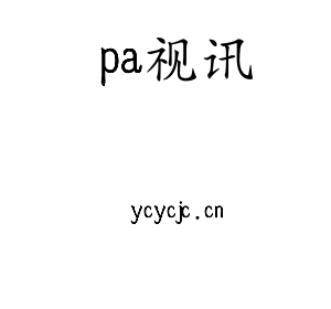 广东pa视讯智能科技股份有限公司